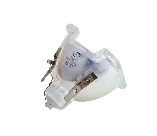 300W Light Bulb