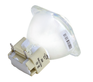 295W Light Bulb