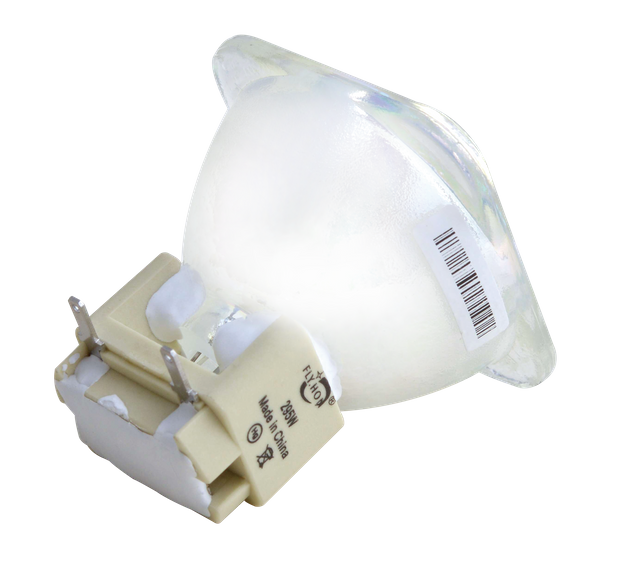 295W Light Bulb