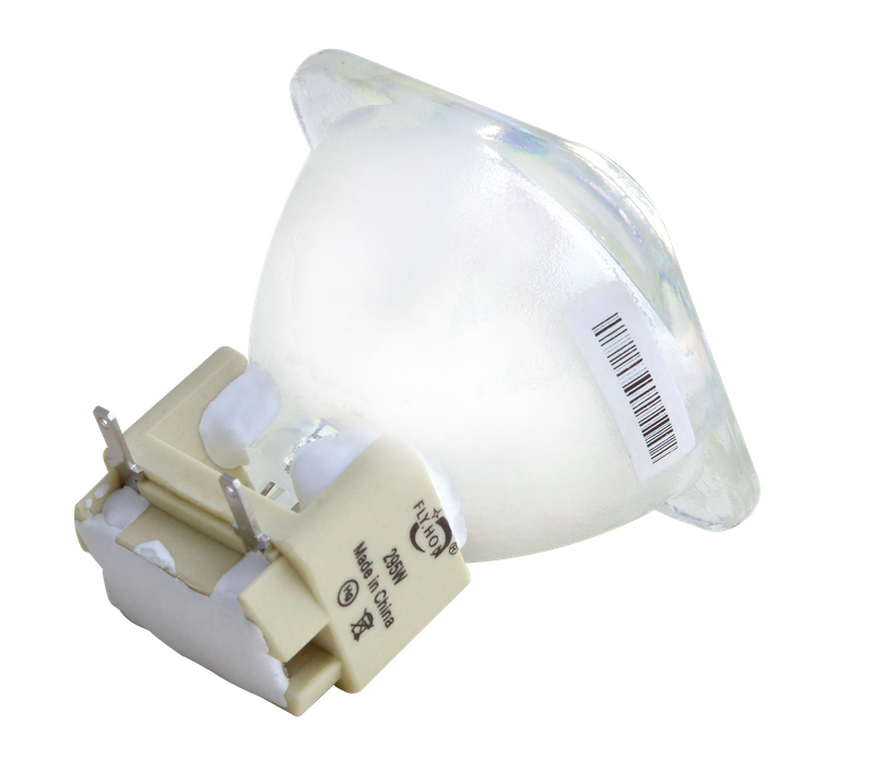 295W Light Bulb