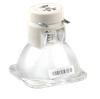 260W Light Bulb