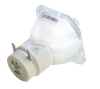 250W bulb