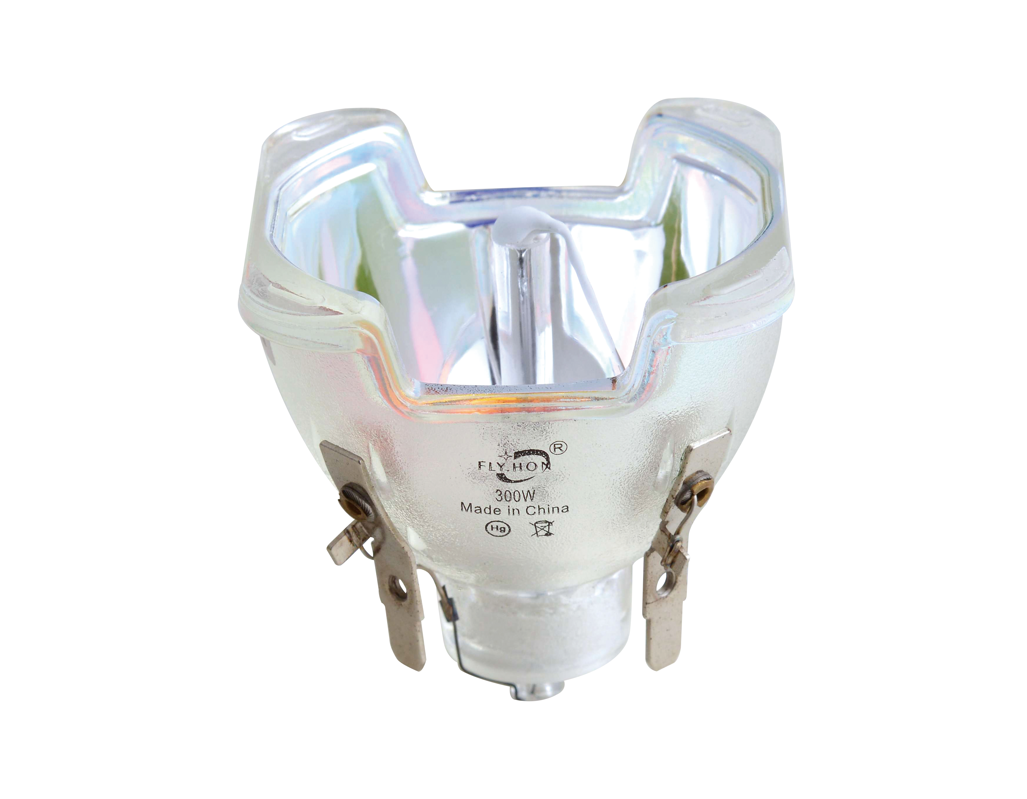 300W Light Bulb