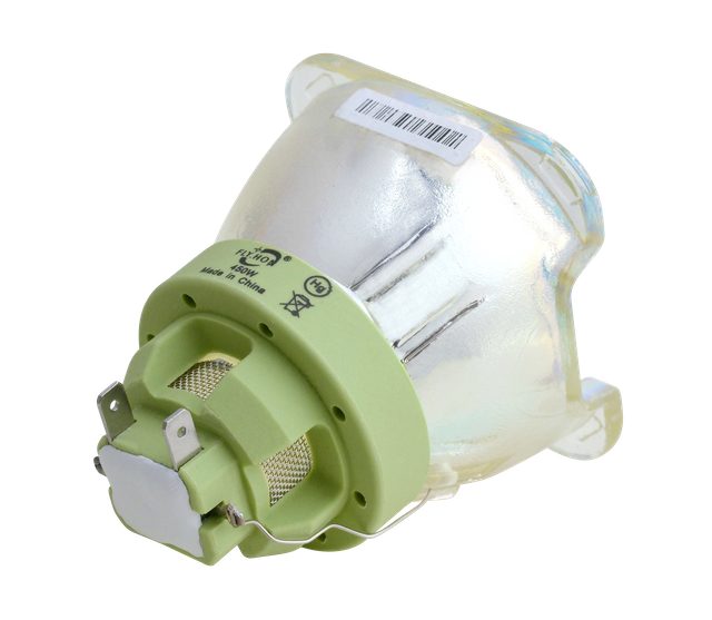 450W Light Bulb