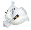 350W Light Bulb