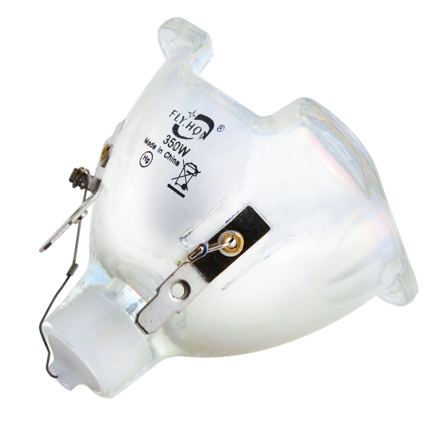 350W Light Bulb