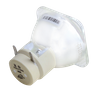 260W Light Bulb