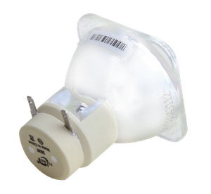 260W Light Bulb