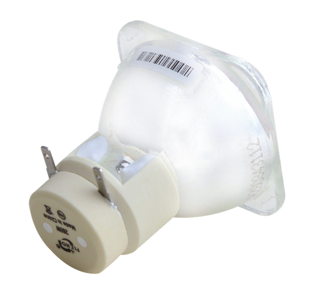 260W Light Bulb