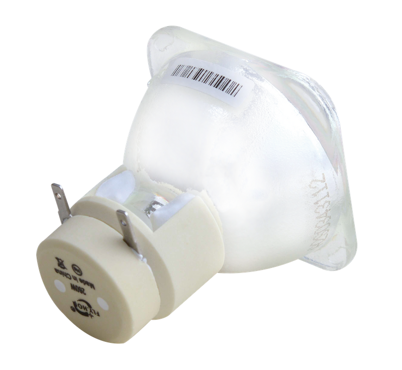 260W Light Bulb